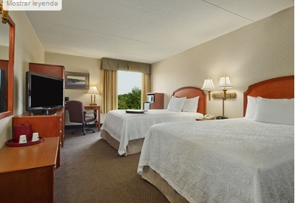 Hampton & Hotel 3*
